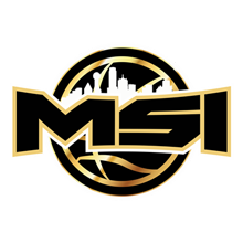 MSI (2022) Logo
