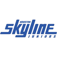 Skyline Classic #8 (2024) Logo