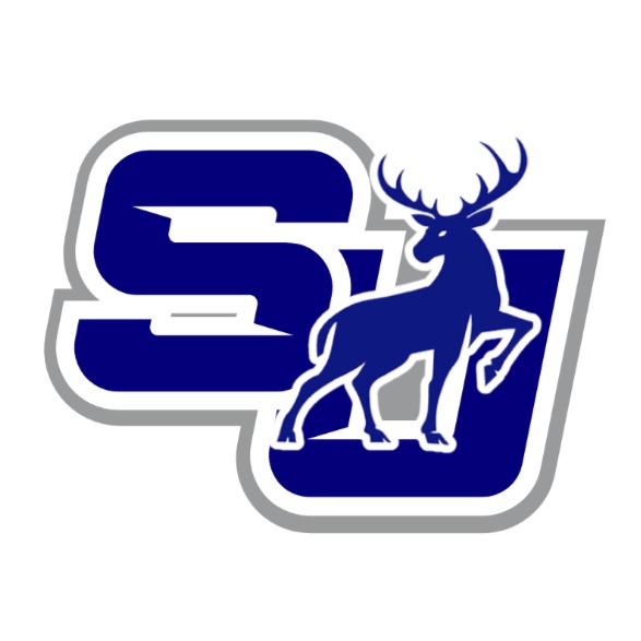 Stanton vs Bethesda (SWSIC)** (2024) Logo
