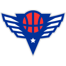 Crossroads Elite Invitational Camp (2025) Logo