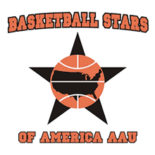 Pittsburgh Fall Wrap Up Basketball Tournament (2025) Logo